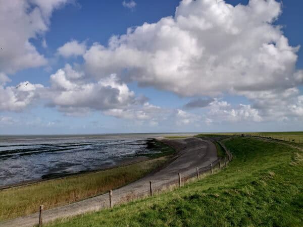 Combinatie Energetische Blauwdruk en Zielsmatrix