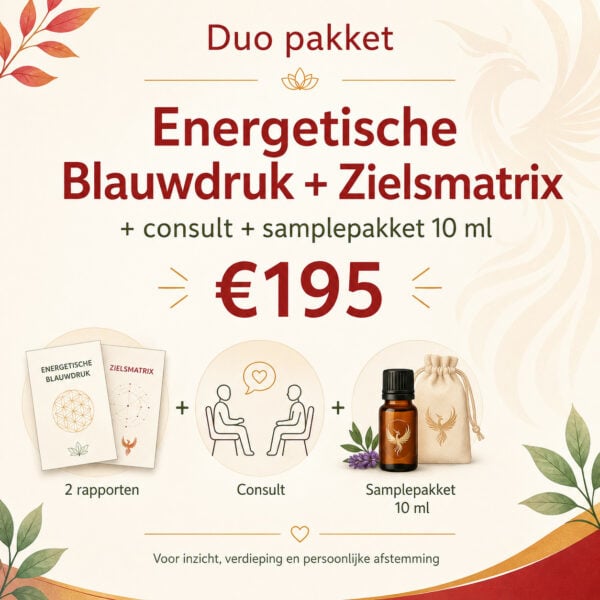 Dynamisch duopakket: energetische blauwdruk+zielsmatrix+consult+10ml sampleset