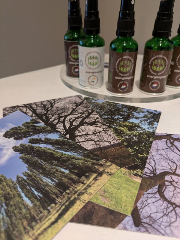 Alle energiesprays uit het Krachtplaatsen NL project - aanbieding Black Friday-Cyber Monday - Image 2