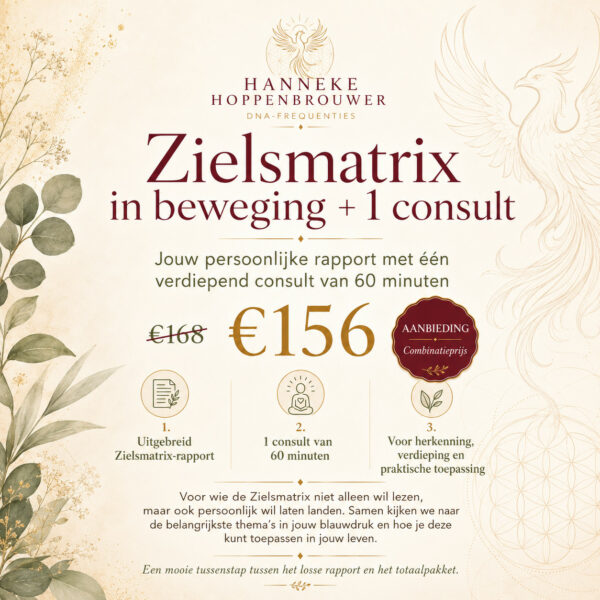 Zielsmatrix in bewegingrapport inclusief consult